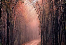 最新赛况！丁俊晖不敌马叔，惨遭一轮游！凯伦威.