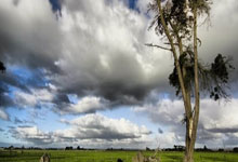 名宿：拜仁未低估穆勒的情感价值，但与小猪拉姆的那种裂痕该避免.