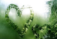 萨巴伦卡两连胜，郑钦文将战鲍里妮争小组第二WTA国际女子网球协会微博.